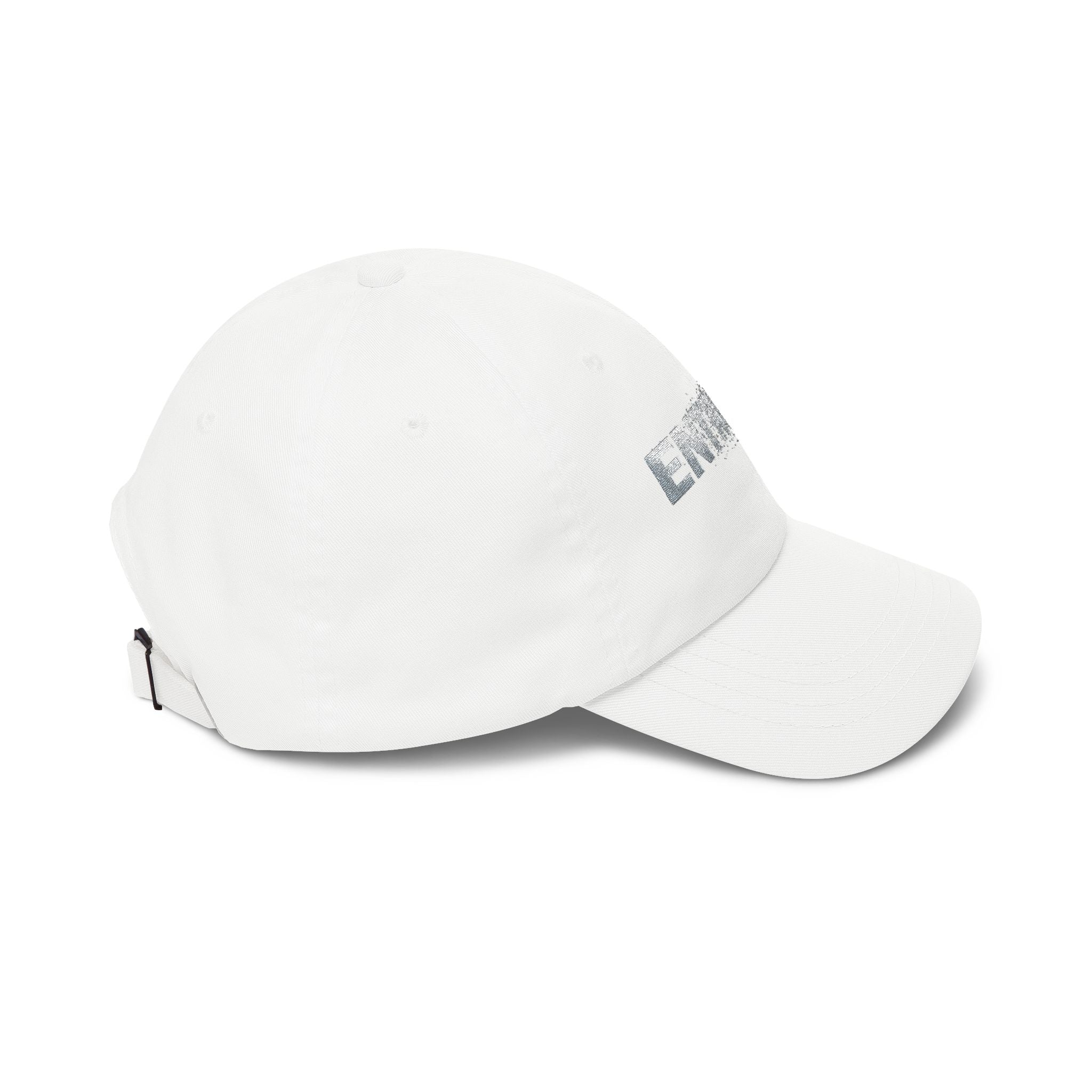 Entropy White Baseball Hat